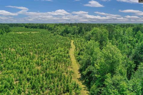 0000 N Brewington Manning SC 29102