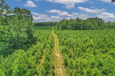 0000 N Brewington Manning SC 29102