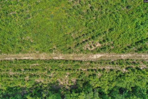 0000 N Brewington Manning SC 29102