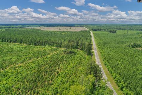 0000 N Brewington Manning SC 29102