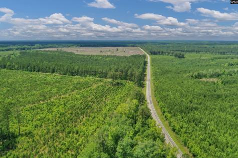 0000 N Brewington Manning SC 29102