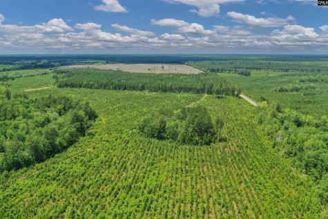 0000 N Brewington Manning SC 29102