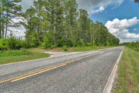 0000 N Brewington Manning SC 29102