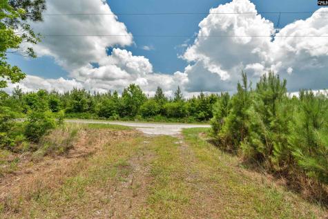 0000 N Brewington Manning SC 29102