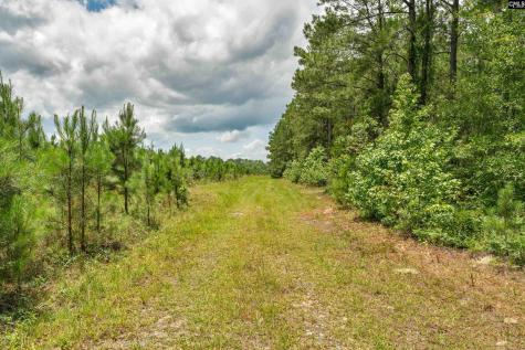 0000 N Brewington Manning SC 29102