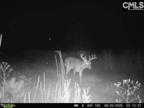 0000 N Brewington Manning SC 29102