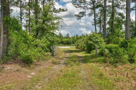 0000 N Brewington Manning SC 29102