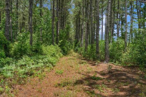 0000 N Brewington Manning SC 29102