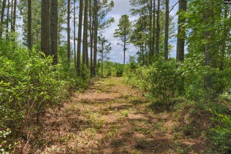 0000 N Brewington Manning SC 29102