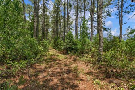 0000 N Brewington Manning SC 29102