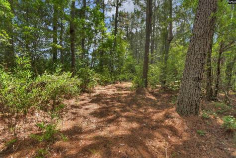 0000 N Brewington Manning SC 29102