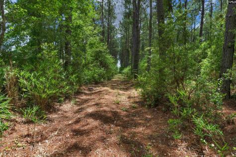 0000 N Brewington Manning SC 29102