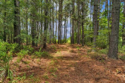 0000 N Brewington Manning SC 29102