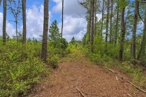 0000 N Brewington Manning SC 29102