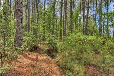 0000 N Brewington Manning SC 29102