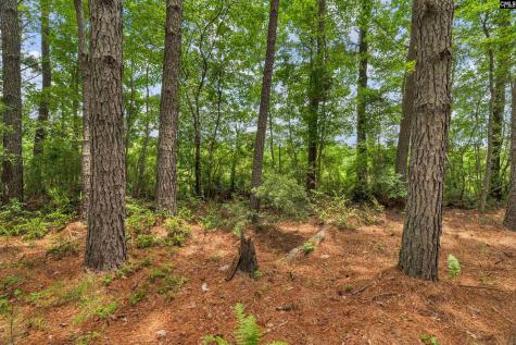 0000 N Brewington Manning SC 29102