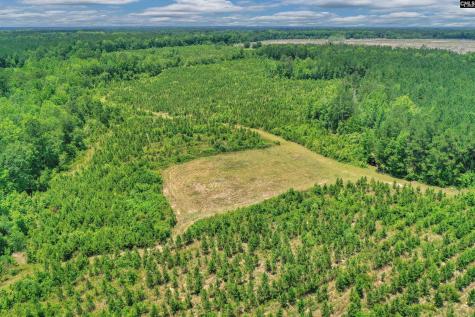 0000 N Brewington Manning SC 29102