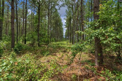 0000 N Brewington Manning SC 29102