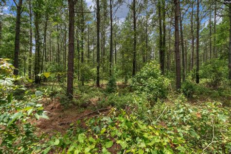 0000 N Brewington Manning SC 29102