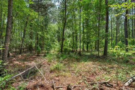 0000 N Brewington Manning SC 29102