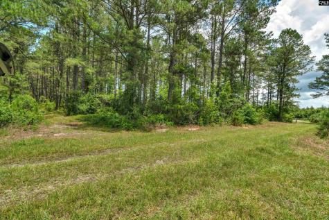 0000 N Brewington Manning SC 29102