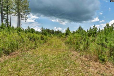 0000 N Brewington Manning SC 29102