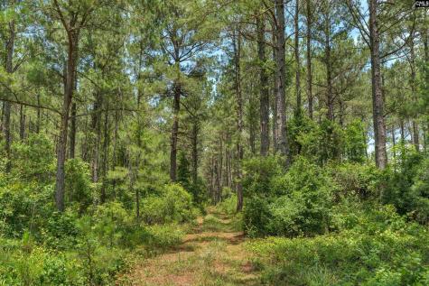 0000 N Brewington Manning SC 29102