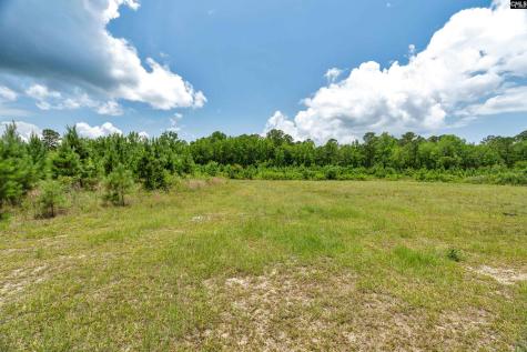 0000 N Brewington Manning SC 29102