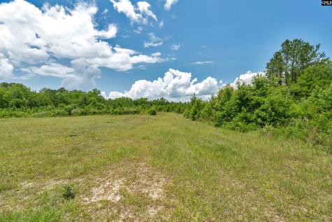 0000 N Brewington Manning SC 29102
