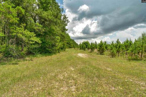 0000 N Brewington Manning SC 29102