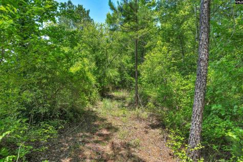 0000 N Brewington Manning SC 29102