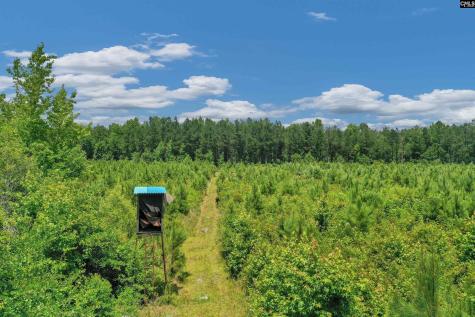 0000 N Brewington Manning SC 29102