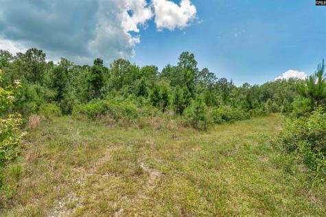 0000 N Brewington Manning SC 29102