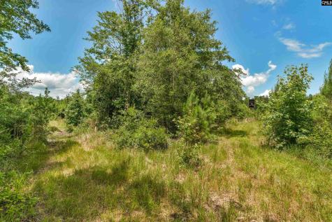 0000 N Brewington Manning SC 29102