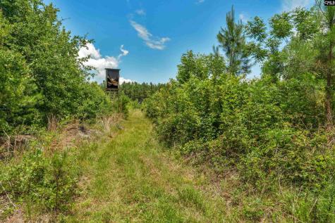 0000 N Brewington Manning SC 29102