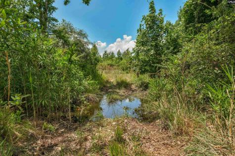 0000 N Brewington Manning SC 29102