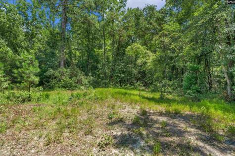 0000 N Brewington Manning SC 29102