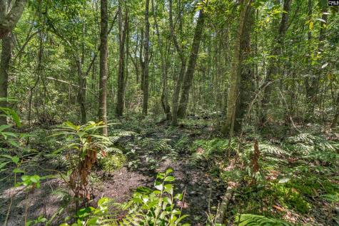 0000 N Brewington Manning SC 29102