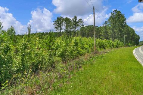 0000 N Brewington Manning SC 29102