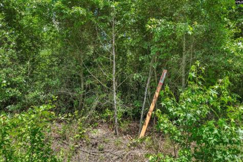 0000 N Brewington Manning SC 29102