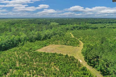 0000 N Brewington Manning SC 29102