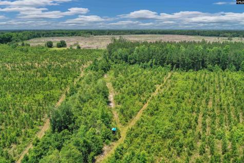 0000 N Brewington Manning SC 29102