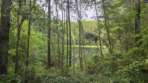 306 Andrew Corley Road Lexington SC 29072