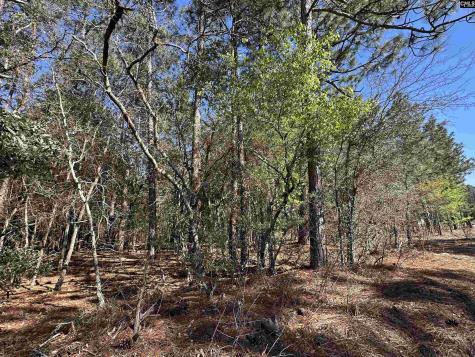 Lot 9 Mimosa Drive Gaston SC 29053