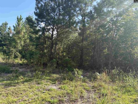 0 Valley Stream Road Leesville SC 29070