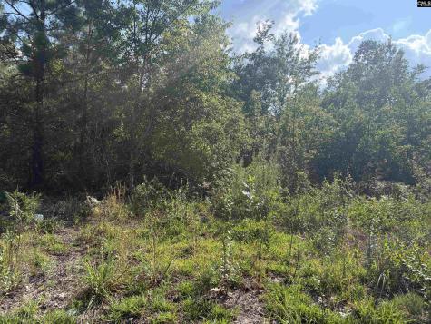 0 Valley Stream Road Leesville SC 29070