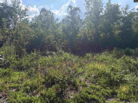 0 Valley Stream Road Leesville SC 29070