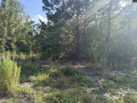 0 Valley Stream Road Leesville SC 29070