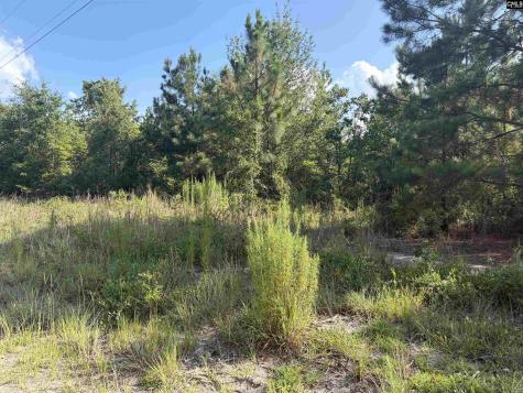 0 Valley Stream Road Leesville SC 29070