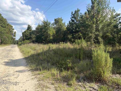 0 Valley Stream Road Leesville SC 29070